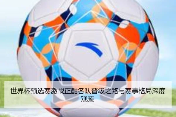 世界杯预选赛激战正酣各队晋级之路与赛事格局深度观察