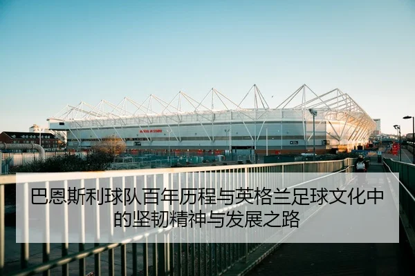ba-en-si-li-qiu-dui-bai-nian-li-cheng-yu-ying-ge-lan-zu-qiu-wen-hua-zhong-de-jian-ren-jing-shen-yu-fa-zhan-zhi-lu-2-546.jpg