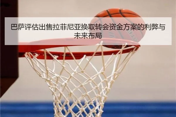 ba-sa-ping-gu-chu-shou-la-fei-ni-ya-huan-qu-zhuan-hui-zi-jin-fang-an-de-li-bi-yu-wei-lai-bu-ju-2-183.jpg